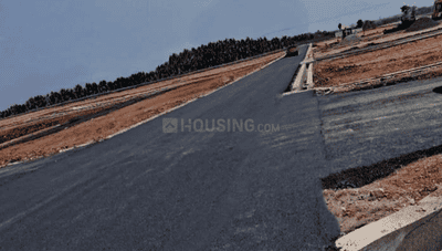 Project Images