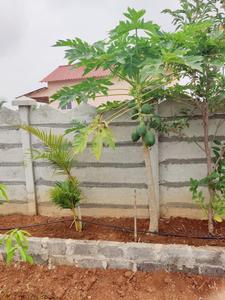 Project Image of 1300.0 - 2500.0 Sq.ft Agricultural Land Agricultural Land for buy in Green Nature Farms