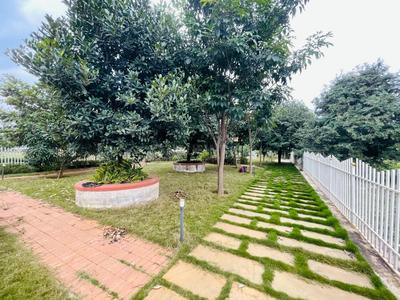 Project Image of 1410.0 - 2400.0 Sq.ft Residential Plot Plot for buy in MGS Shreela Airview Enclave
