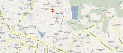 Project Image of 880.0 - 1570.0 Sq.ft 2 BHK Apartment for buy in Linea Lily