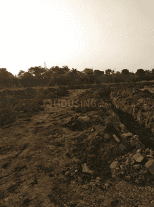 Project Images