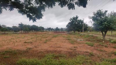 Project Image of 1800.0 - 3600.0 Sq.ft Residential Plot Plot for buy in CK Infini Breeze County