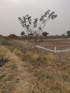 Mumbai Plot In Prikon Plot 1