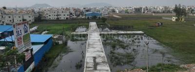 Gallery Cover Pic of Venus Avenue