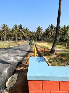 Project Image of 0.0 - 1200.0 Sq.ft Residential Plot Plot for buy in Vinyas 1903 Serinity