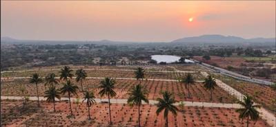 Project Image of 0.0 - 6000.0 Sq.ft Residential Plot Plot for buy in Neralu Farms Korlaparthi
