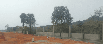 Project Images