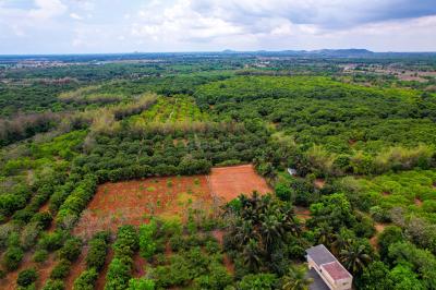 Project Image of 9594.0 - 13838.0 Sq.ft Residential Plot Plot for buy in Banyan Red Soil Mango Farms