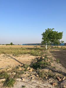 Project Image of 630.0 - 1350.0 Sq.ft Residential Plot Plot for buy in Trinity Royal City Plots