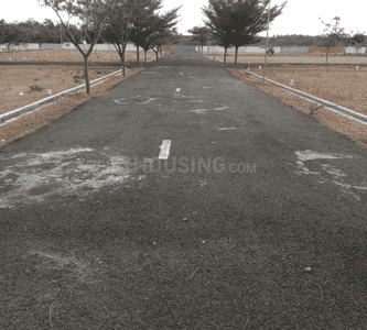 Project Images