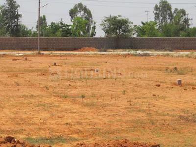 Project Image of 1199.96 - 3499.99 Sq.ft Residential Plot Plot for buy in Flamingo Township