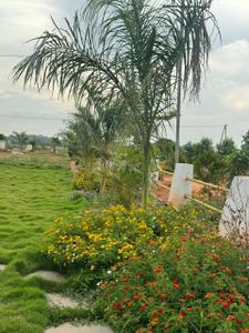 Project Image of 1557.0 - 2421.0 Sq.ft Residential Plot Plot for buy in Yuva Park
