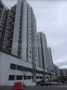 Gera A3 Song of Joy Geras Greensville 2 Elevation 1