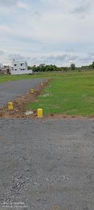 Project Image of 854.0 - 1727.0 Sq.ft Residential Plot Plot for buy in Blossom New Town