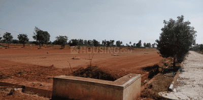Project Images