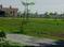 Vijayaram Green City Plot 1