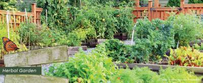 Project Image of 1200 Sq.ft Residential Plot / Land for sale in Doddasagarahalli for Rs. 5600000
