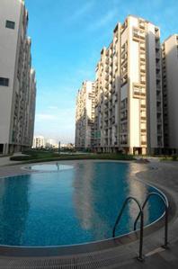 Project Image of 1776.0 - 2050.0 Sq.ft 3 BHK Apartment for buy in Pacifica Green Acres