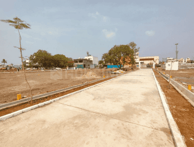 Project Images