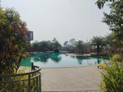 Project Images