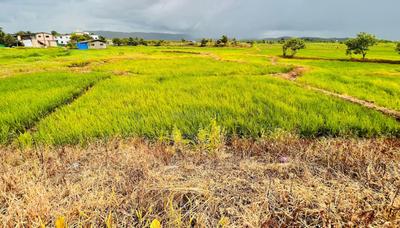 Project Image of 1000.0 - 10000.0 Sq.ft Residential Plot Plot for buy in Capstone Land Plots In Ranjanpada