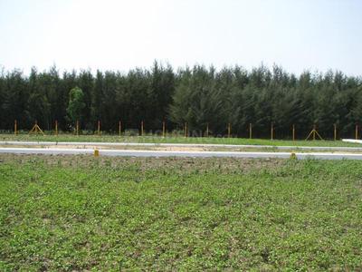 Project Image of 1750.0 - 4085.0 Sq.ft Residential Plot Plot for buy in SM Sri Arunachala City