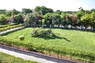 Project Image of 3375.0 - 5445.0 Sq.ft Residential Plot Plot for buy in Myneni Peacock Avenue