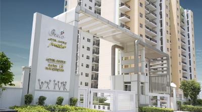Project Image of 2120.0 - 2560.0 Sq.ft 3 BHK Apartment for buy in Orris Aster Court Premier