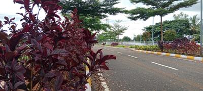 Project Image of 1500 Sq.ft Residential Plot / Land for sale in Kaggalipura for Rs. 8200000