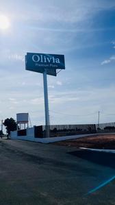 Project Image of 750.0 - 4840.0 Sq.ft Residential Plot Plot for buy in RR Olivia