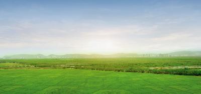 Project Image of 645.83 - 948.0 Sq.ft 2 BHK Apartment for buy in Runwal Bliss Wing A