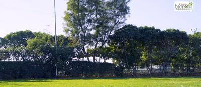 Project Image of 0.0 - 2000.0 Sq.ft 3 BHK Villa for buy in Krish Harmony Villas