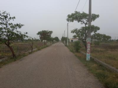 Aarvanss Royal City Elevation 1