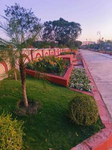 Project Image of 600.0 - 1000.0 Sq.ft Residential Plot Plot for buy in Tirupati Greens