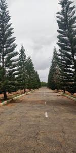 Project Image of 1200.0 - 2400.0 Sq.ft Residential Plot Plot for buy in Samvith Sri Sai Layout
