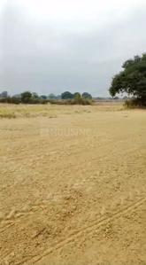 Project Image of 10000.0 - 20000.0 Sq.ft Residential Plot Plot for buy in SR The Rakhi Farm House