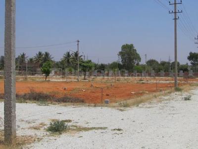 Project Image of 1199.96 - 3499.99 Sq.ft Residential Plot Plot for buy in Flamingo Township