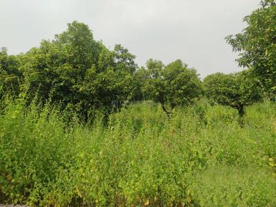 Project Image of 1089.0 - 5400.0 Sq.ft Agricultural Land Agricultural Land for buy in Park Square Asset Homes