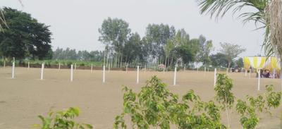 Project Image of 900.0 - 9000.0 Sq.ft Residential Plot Plot for buy in Omshri Royal City Farms