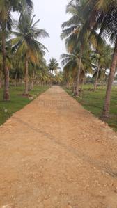 Project Image of 600.0 - 4800.0 Sq.ft Residential Plot Plot for buy in Accord Ranch City