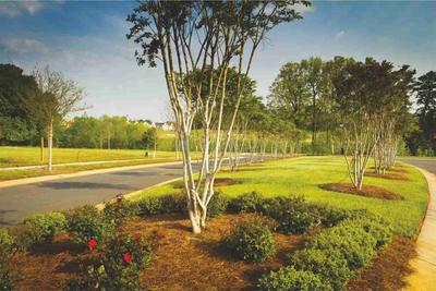 Project Image of 2421.88 - 3444.45 Sq.ft Residential Plot Plot for buy in Mohidins Hamlet By The Bay