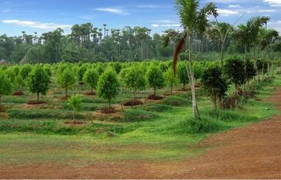 RR Mega Siri Vanam Elevation 1