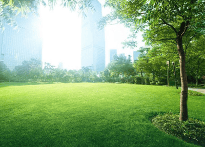 Project Image of 422.0 - 627.0 Sq.ft 1 BHK Apartment for buy in Vardhaman Tower