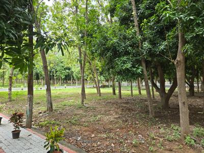 Project Image of 10000.0 - 17163.0 Sq.ft Residential Plot Plot for buy in Sai River Garden