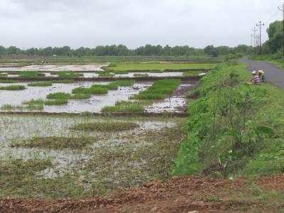 Project Image of 1000.0 - 10000.0 Sq.ft Residential Plot Plot for buy in AJ LAND IN JUI THIRD MAHA MUMBAI