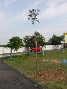 Accord Tejas Enclave Elevation 1