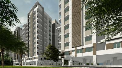 The Building Rasagna North Elevation 2