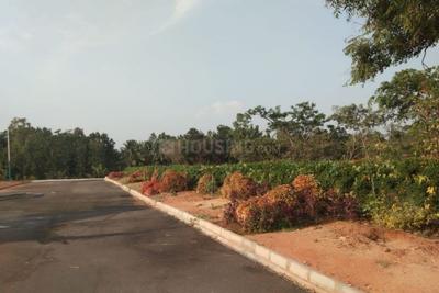 Gallery Cover Pic of MBSR Sanjeevini