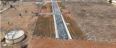 Project Images
