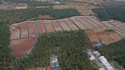 Project Image of 436.0 - 1600.0 Sq.ft Residential Plot Plot for buy in Vishakha Oak Tree
